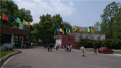 西南大學