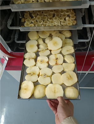 永合創(chuàng)信實(shí)驗(yàn)室凍干機(jī)應(yīng)用于食品凍干科研開發(fā)!