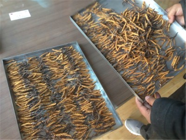 制藥凍干機中的加熱系統(tǒng)的作用是什么？