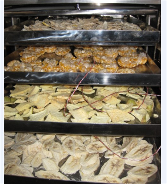 冷凍干燥機(jī)在食品凍干加工中需要注意哪些細(xì)節(jié)？