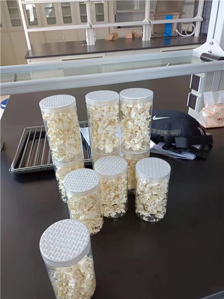 冷凍干燥機的出現(xiàn)促進了凍干食品的發(fā)展