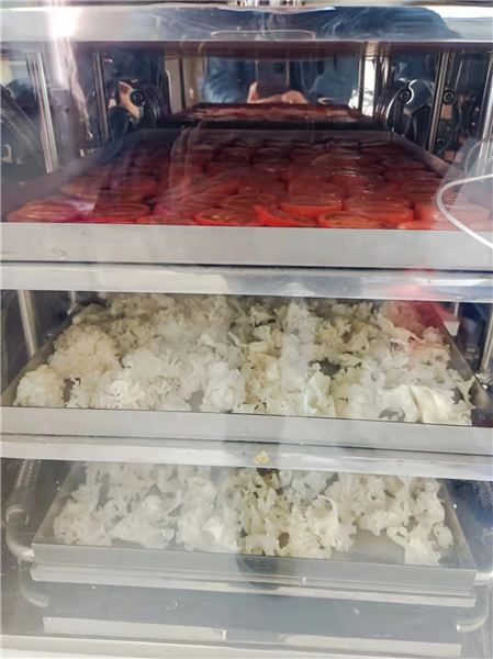如何使用冷凍干燥機能延長其使用壽命？