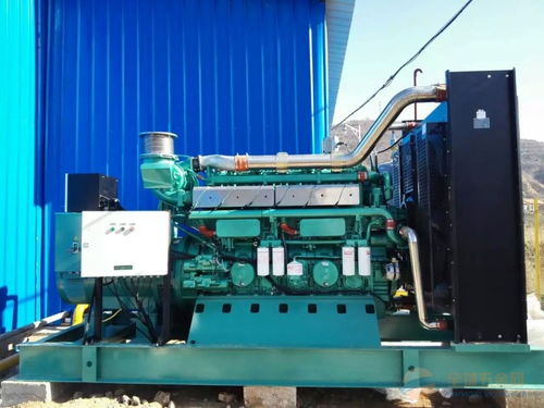 沼氣發(fā)電機