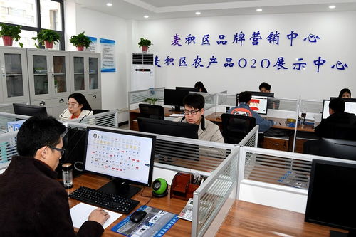 天水市麥積區電子商務公共服務中心揭牌運營，助力個人商務發展